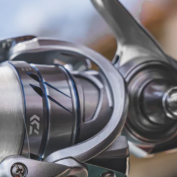 Daiwa Procyon Mq Lt D Xh Spinning Reel Gagnon Sporting Goods