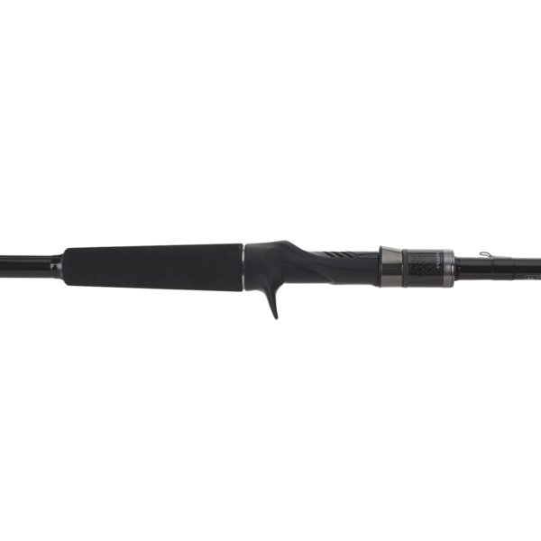 Daiwa  XT Casting Rod