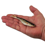 PowerBait Ripple Shad HD 4" 5-pk