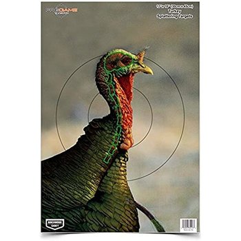 Birchwood Casey 35403 PreGame Turkey Targets Qty 8