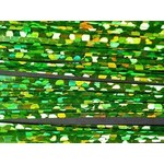Textreme Holographic Fibres