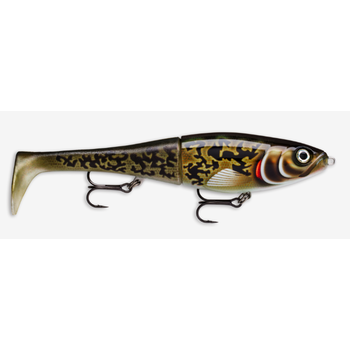 Rapala X-Rap Peto 20 Artistic Burbot 8"