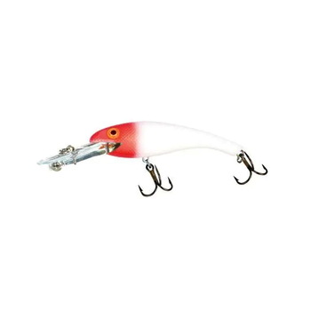 Cotton Cordell CD5 Wally Diver White/Red