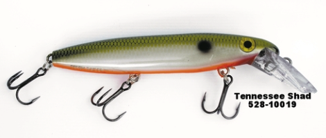 Tennessee Shad In stock $ at  shad