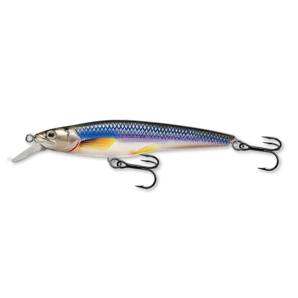 Live Target Rainbow Smelt 2-3/4" (3-4') Silver/Blue