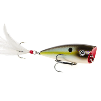 Strike King HC KVD Jr Splash Popper 2-1/4" Summer Sexy Shad