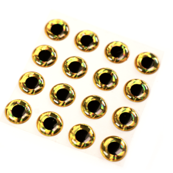 Shor Holographic Eyes