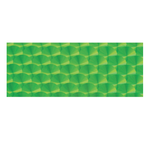 Luhr Jensen Prism Tape Fluorescent Green (2"x5") (ES25)