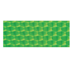 Luhr Jensen Prism Tape Fluorescent Green (2"x5") (FDS)