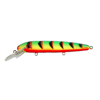 ERC Triple D 9" Fire Tiger