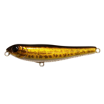Megabass Dog-X Jr Coayu BFS