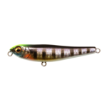 Megabass Dog-X Jr Coayu BFS 2-3/4" 1/5oz