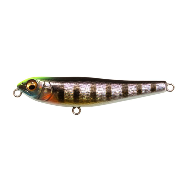 Megabass Dog-X Jr Coayu BFS