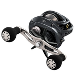 Daiwa Lexa 300H-P 7.4:1 RH Casting Reel