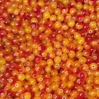 Creek Candy Beads 8mm Nucleus Series Steelhead Sunrise # 278