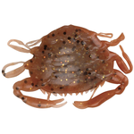 Gulp Saltwater 2" Peeler Crab 5-pk New Penny