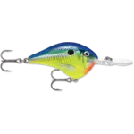 Rapala DT 16 Parrot 2-3/4"