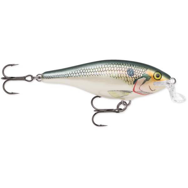 Rapala Shallow Shad Rap Shad 07