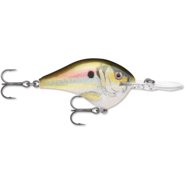Rapala DT 10 Live River Shad 2-1/4"