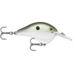 Rapala DT 8 Green Gizzard Shad 2"