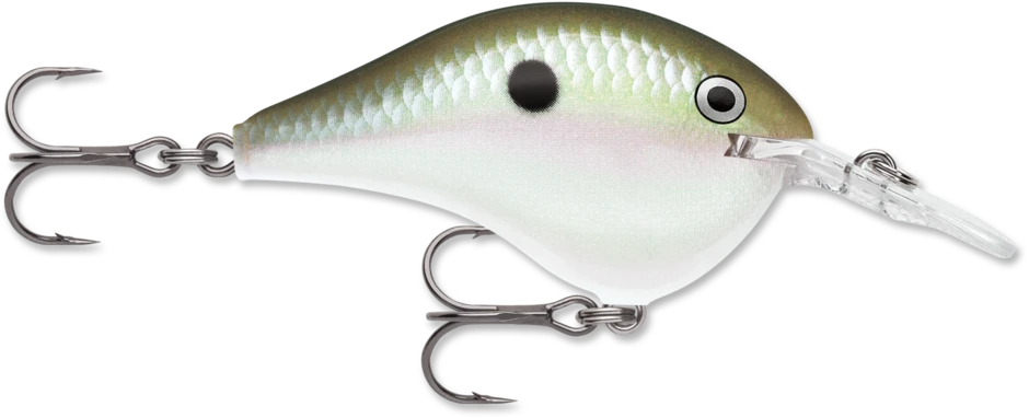 Rapala DT 8 Green Gizzard Shad 2 3/8oz - Gagnon Sporting Goods