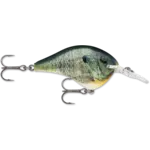 Rapala DT 8 Live Bluegill 2"