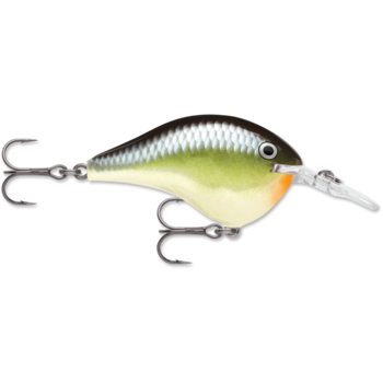 Rapala DT 8 Smash 2"