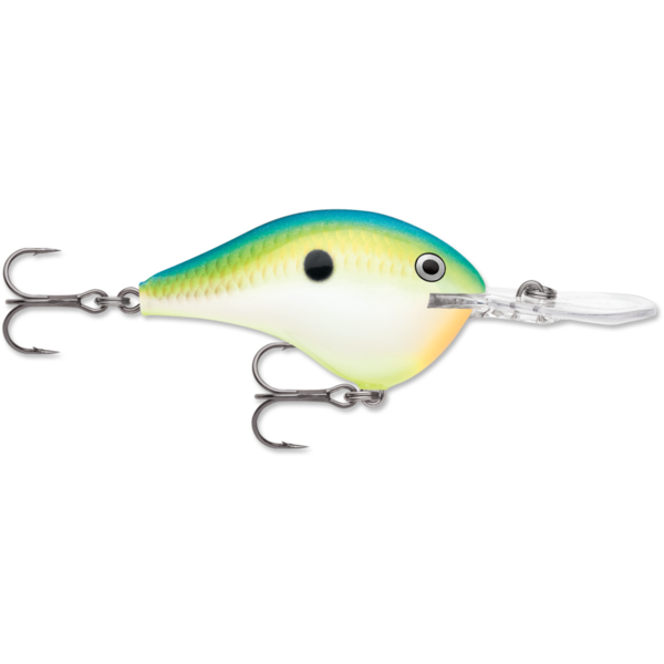 Rapala DT 16 Citrus Shad 2-3/4"