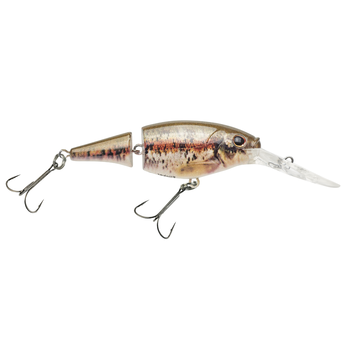 Berkley Flicker Shad Jointed 2" HD Blacknose Dace 5-7’ Dive