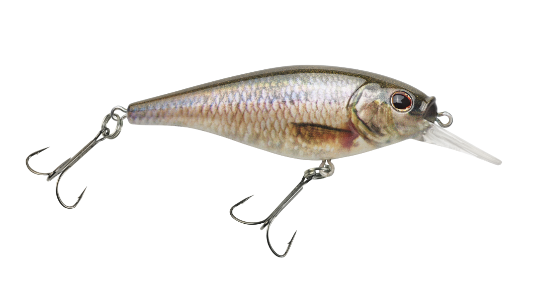 Berkley Flicker Shad Shallow Size 7 (Extended Colors) - Gagnon Sporting  Goods
