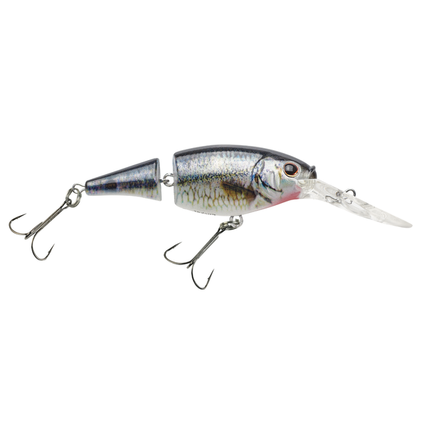 Berkley Flicker Shad Jointed 3" HD Spottail Shiner 7-9’ Dive