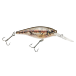 Berkley Flicker Shad. 2" 1/5oz HD Blacknose Dace