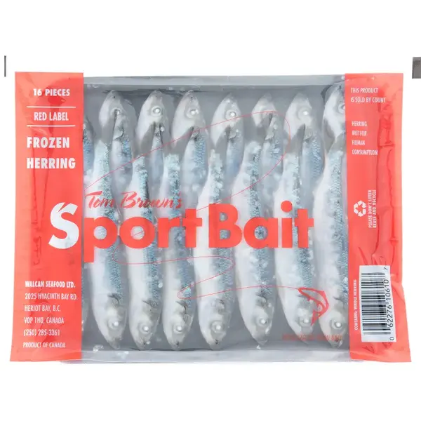 Rhys Davis 5.5"-6" Red Label Frozen Herring (16 per tray)