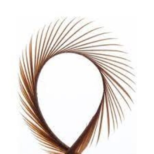 Shor Goose Strips 012 Brown