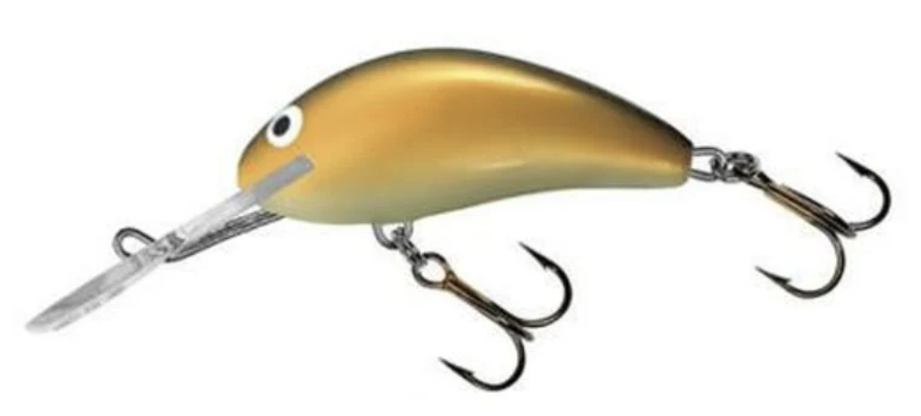 Floating lure salmo hornet floating 19cm