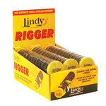 Lindy Rigger Leader Organizer