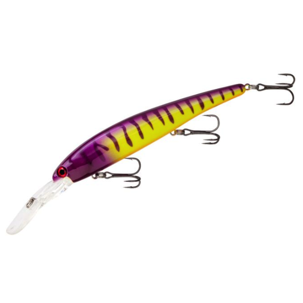 Bandit Lures Deep Electric Zebra