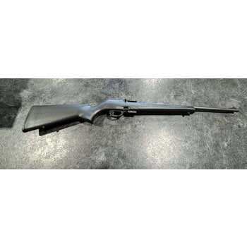 Remington Remington 597 22 WMR Semi Auto Rifle w/Sights