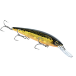 Strike King KVD Elite Deep Jerkbait 300 Pro Gold