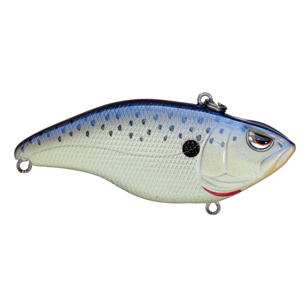 Spro Essentials Aruku Shad 75 5/8oz