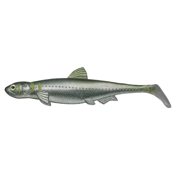 Evergreen International Lures Last Ace 140 Swim Ayu