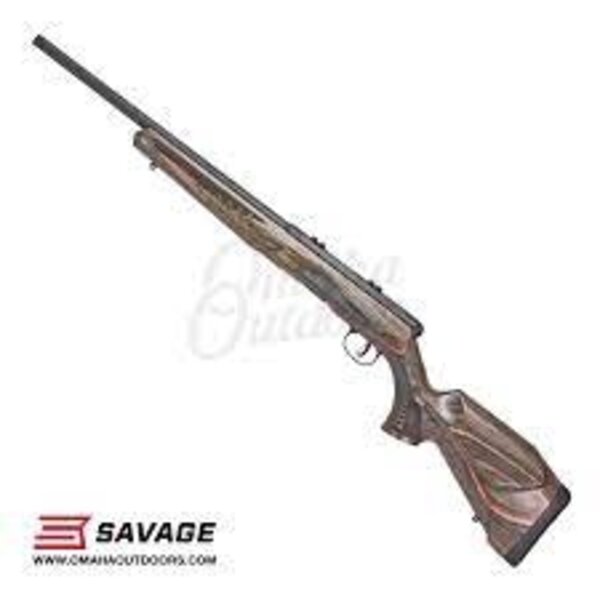 Savage B22 (BNS-SR) 22LR 18"BBL Laminated Stock