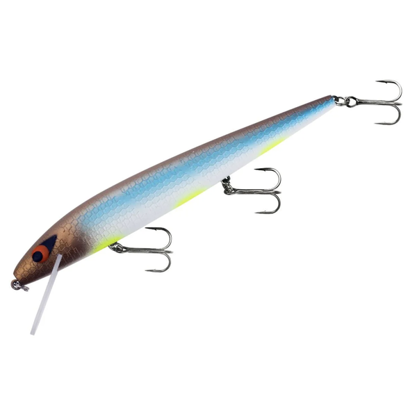 Smithwick Perfect 10 Rogue Half Ton Herring 5-1/2"