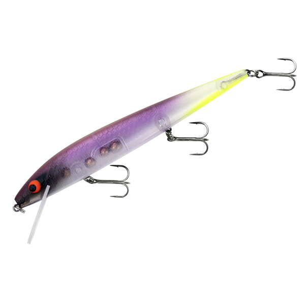 Smithwick Perfect 10 Rogue Jokers Rogue 5-1/2"