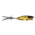 Megabass PopMax Cicada