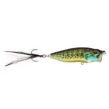 Megabass PopMax Pumpkinseed