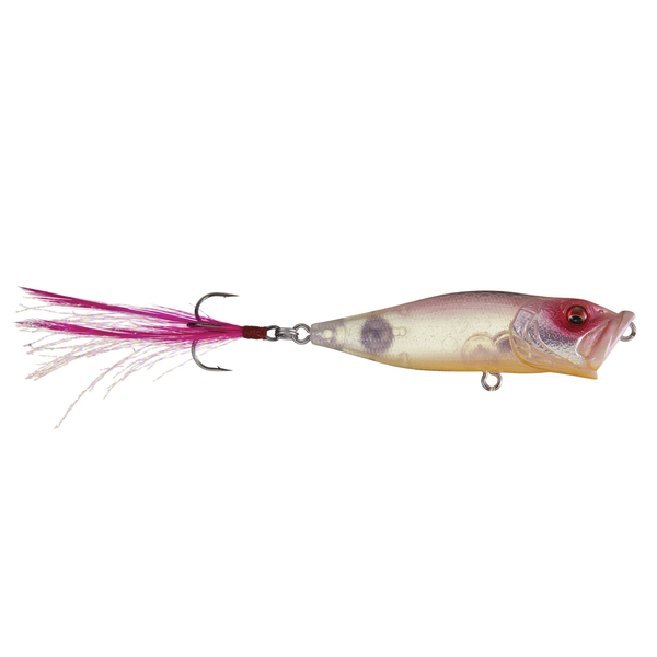 Megabass PopX GLXS Spawn Cherry