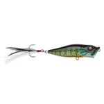 Megabass PopX Pumpkinseed