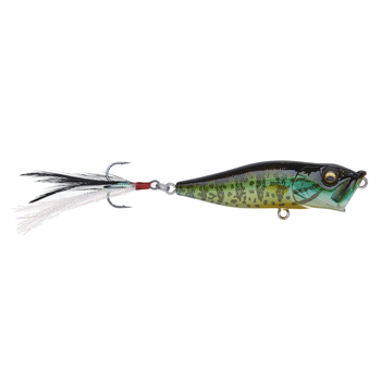 Megabass PopX Pumpkinseed