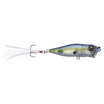 Megabass PopX GP Sexy Shad